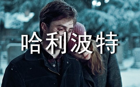 暑假读一本好书《哈利波特》小学生读后感作文