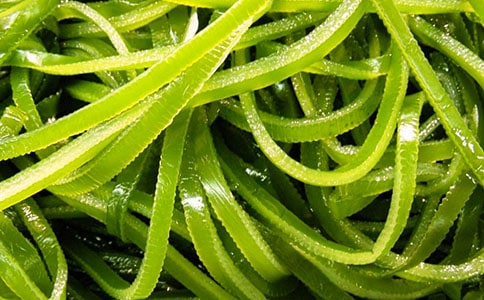 海带简笔画的画法