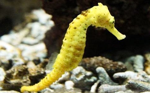 �����ְ�