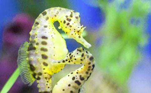 ���ں��������Ｐ�յ�