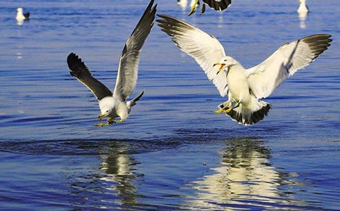 ѧ���������Ÿ��־����