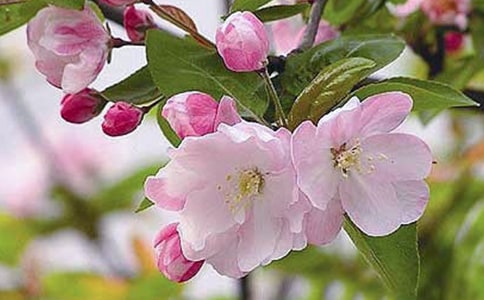 �Ķ�ʷ�����Ϻ����������ϰ