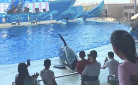 游海洋公园