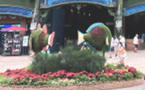 ����֮��-����԰