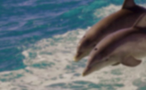 �������������ռǵ����ǡ������400�����㷶��