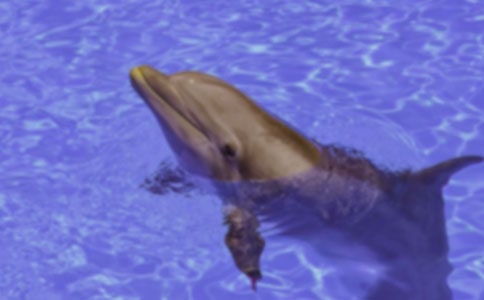 ���¡����������ˡ��еľ���̨��