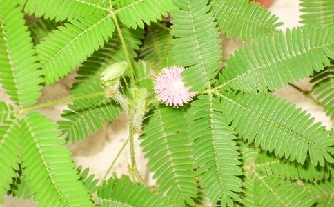 ���߲ݿ��յ�����ͨ��