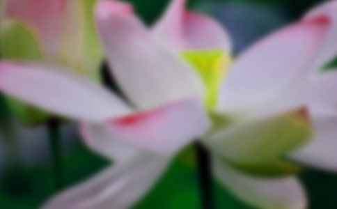 �ɻ��ñ�����ժ��