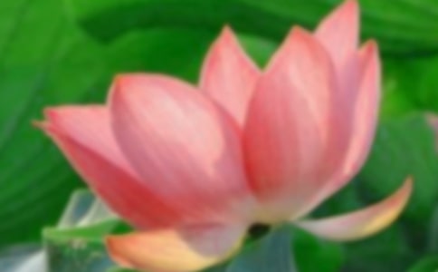 ���������ɻ����꼶����300�ּ���7ƪ