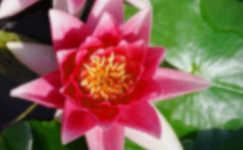 ���Ƽ������꼶�ɻ�������300����ƪ