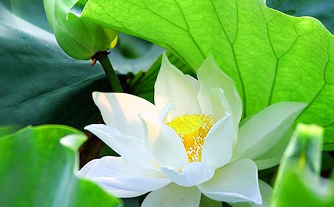 �ɻ����꼶����[ʵ��5ƪ]