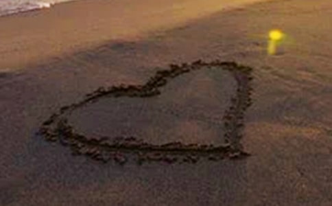 关于抒写和平的初二作文