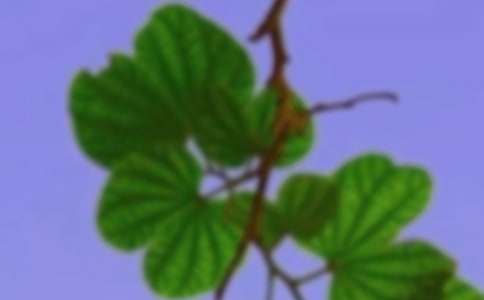 ���ں�г�ĸ���