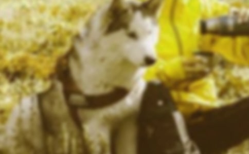 ����Ʒ�����꼶��г������4ƪ