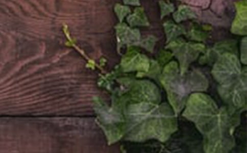 ��г������꼶����450��