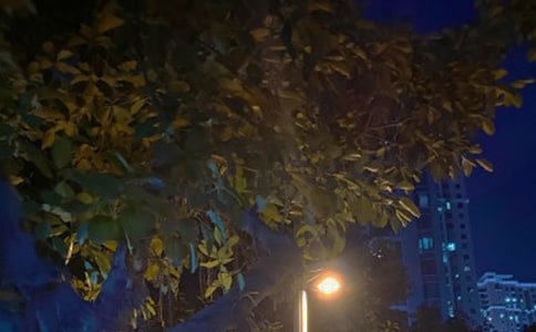 关于黑天、黑夜的歇后语