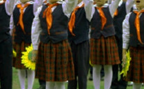 ϴ���������