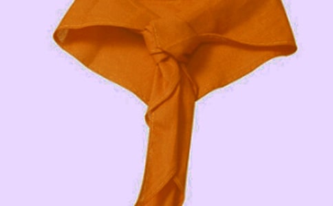 小学红领巾奖章争章活动方案