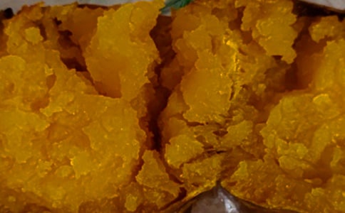 挖红薯作文通用15篇