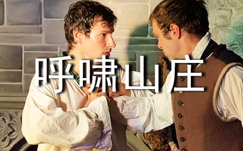 呼啸山庄读后感范文