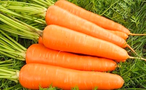 �����ܲ������Ϳ��ȶ��������