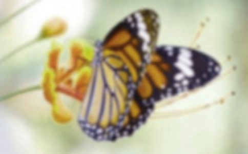 ������д���������ķ���