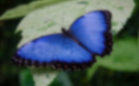 �����䡶�����������졤ӽ�������ԭ�ķ���������