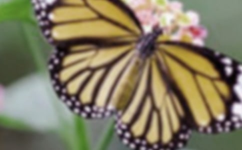 ��������ӽ�������Ԫ������������