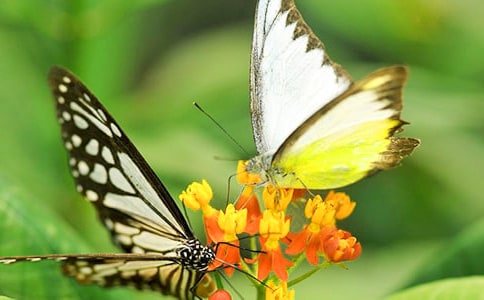 ׽��������