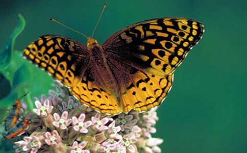 ���ر������꼶�������ĺϼ�7ƪ