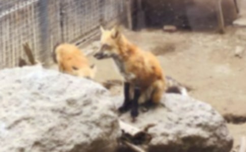 ����ͯ������5ƪ[��Ʒ]