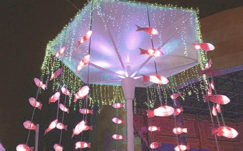 ���������ġ�����