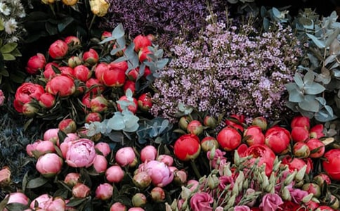 ������������