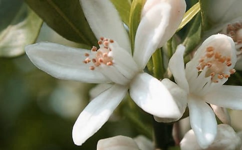 ��д�������ŵľ��ӣ���ѡ260�䣩