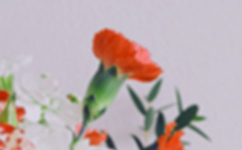 ��д���컨��ľ���