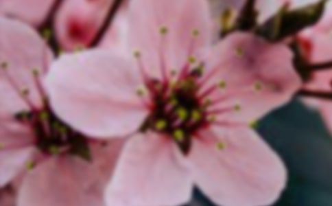 ������ҽ��Ĺ�������600��