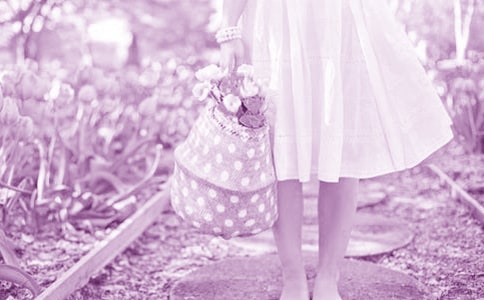 骄傲的玫瑰花童话故事(精选11篇)