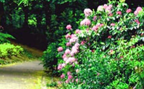 ���˻�԰����з���