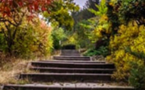 �˽̰���˵Ļ�԰˵�θ巶��