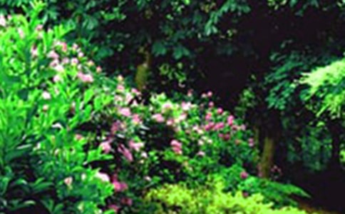 ���˵Ļ�԰����ѧ���