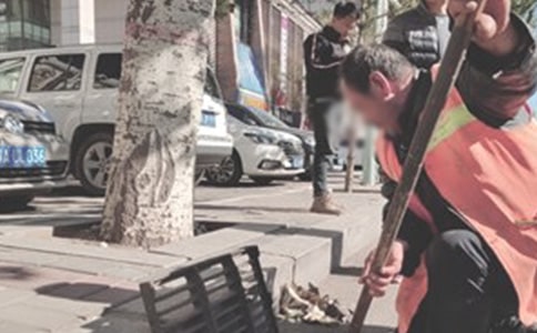 ���������˹����ܽ�