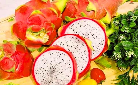 我喜欢火龙果作文