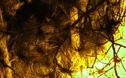 ����Ӧ��������ܽ�