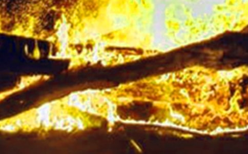 Ԥ�������ݽ���