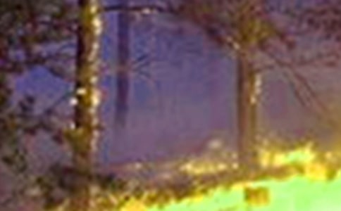 Ԥ�����ֵ���������