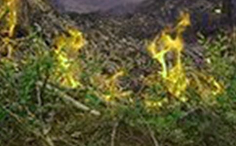 Ԥ�����ֵ����������ѡ330�䣩