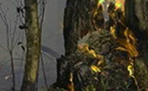 远离火灾,从我做起六年级作文