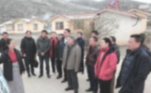 ����ɲ������ݽ��徫ѡ