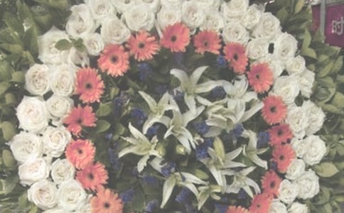 �����˸�ɢ��