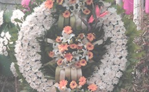 ��һ���������һ������ɢ�����